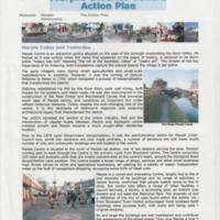 The Action Plan : Marple Partnership : 2003