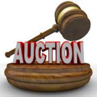 auction.jpg