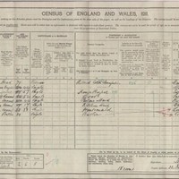 Carver Census Records : Carver Family