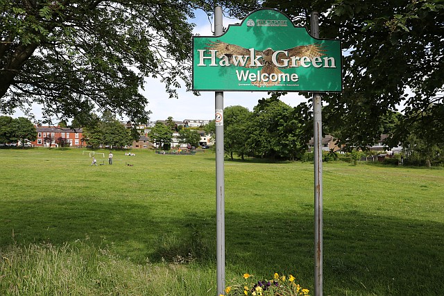hawk green